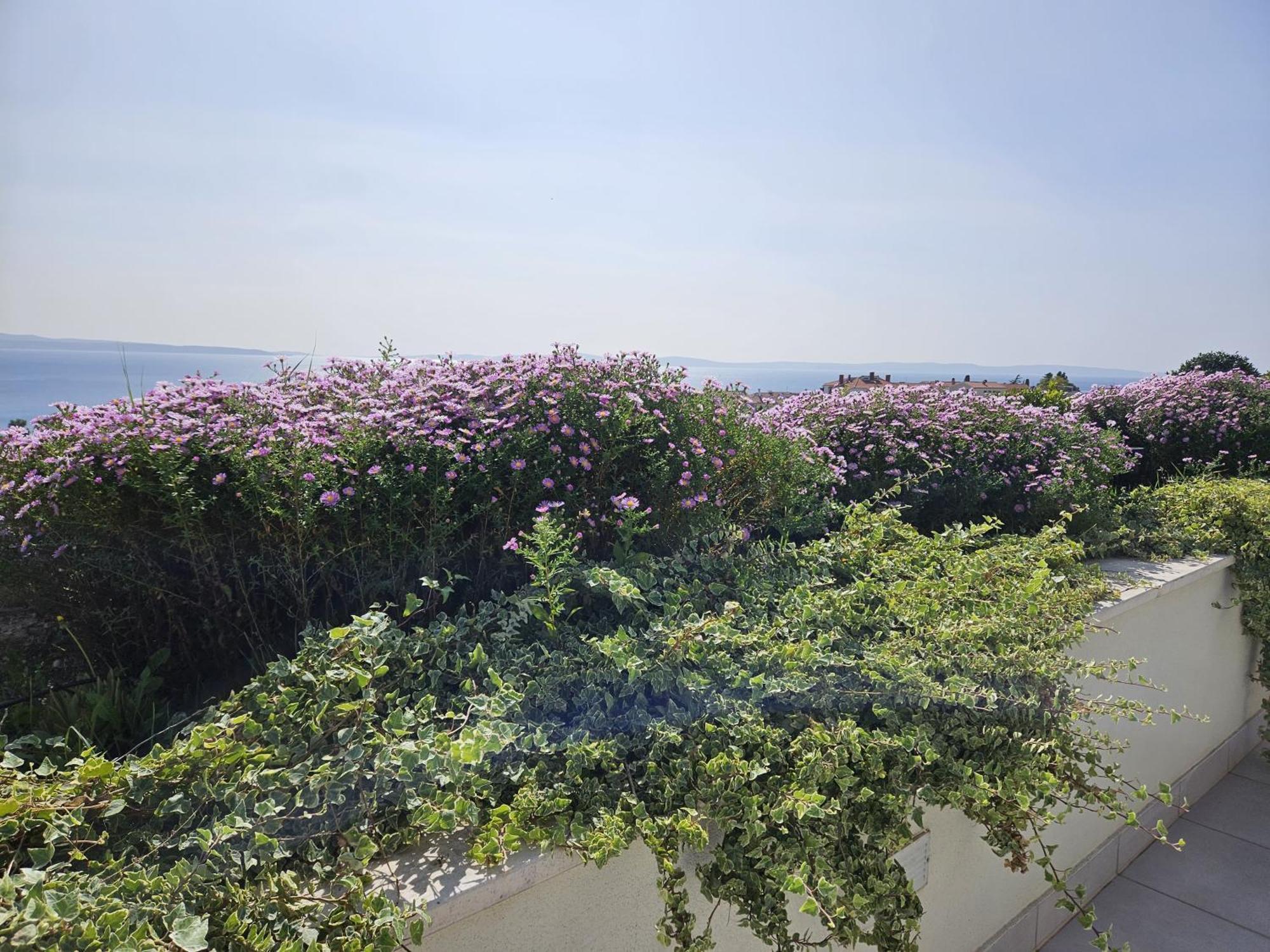 Tajla Rooms Split Ngoại thất bức ảnh